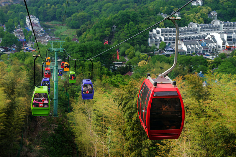 午夜熟女插插XX免费视频