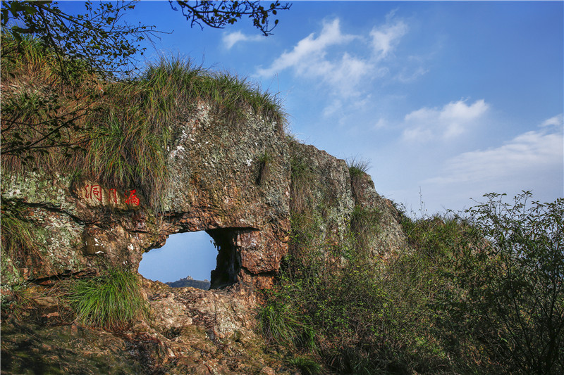 午夜熟女插插XX免费视频
