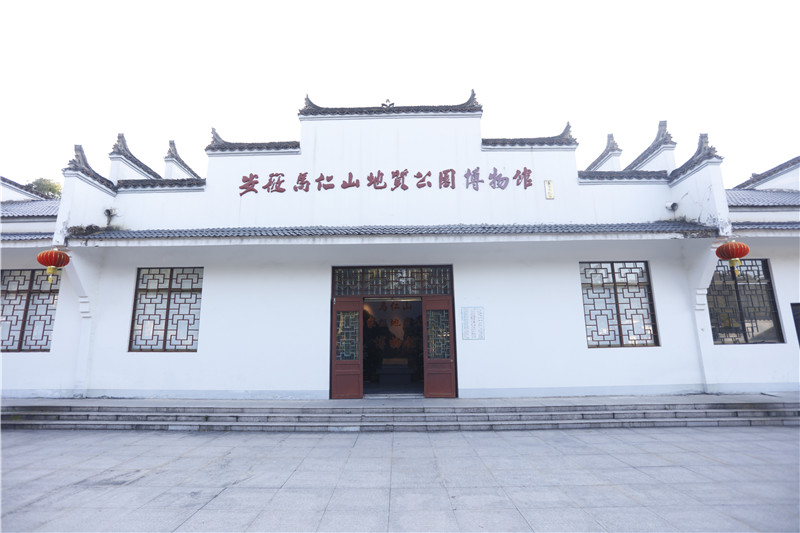 午夜熟女插插XX免费视频