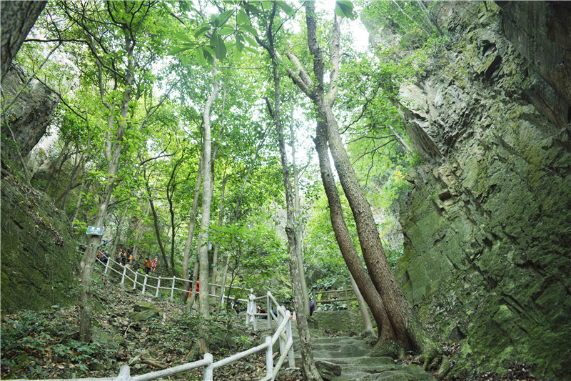 午夜熟女插插XX免费视频