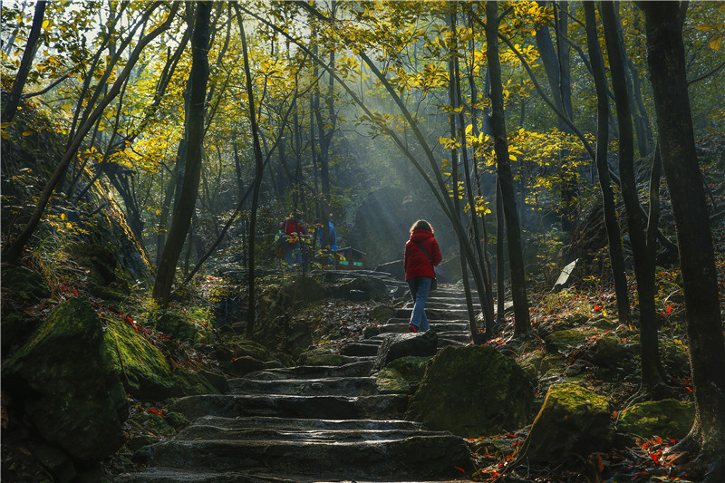 午夜熟女插插XX免费视频