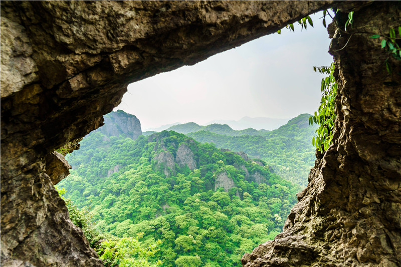 午夜熟女插插XX免费视频