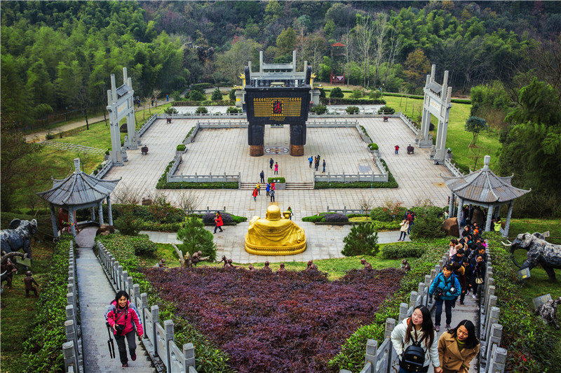 午夜熟女插插XX免费视频