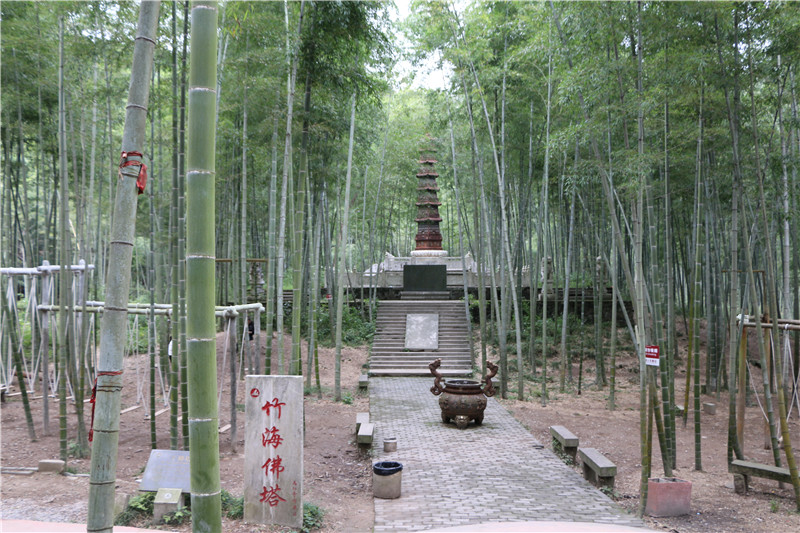 午夜熟女插插XX免费视频