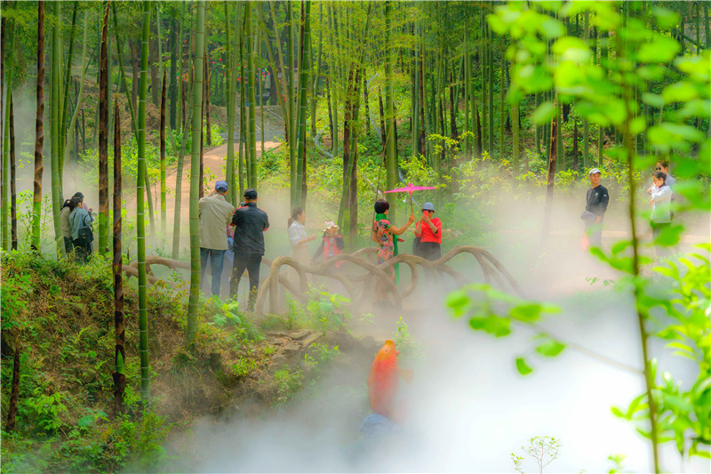 午夜熟女插插XX免费视频