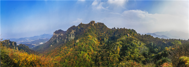 午夜熟女插插XX免费视频