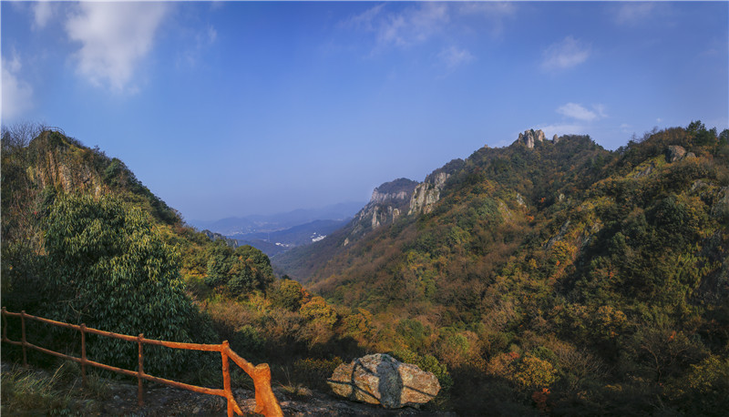 午夜熟女插插XX免费视频