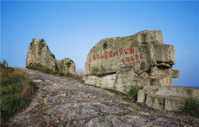 午夜熟女插插XX免费视频