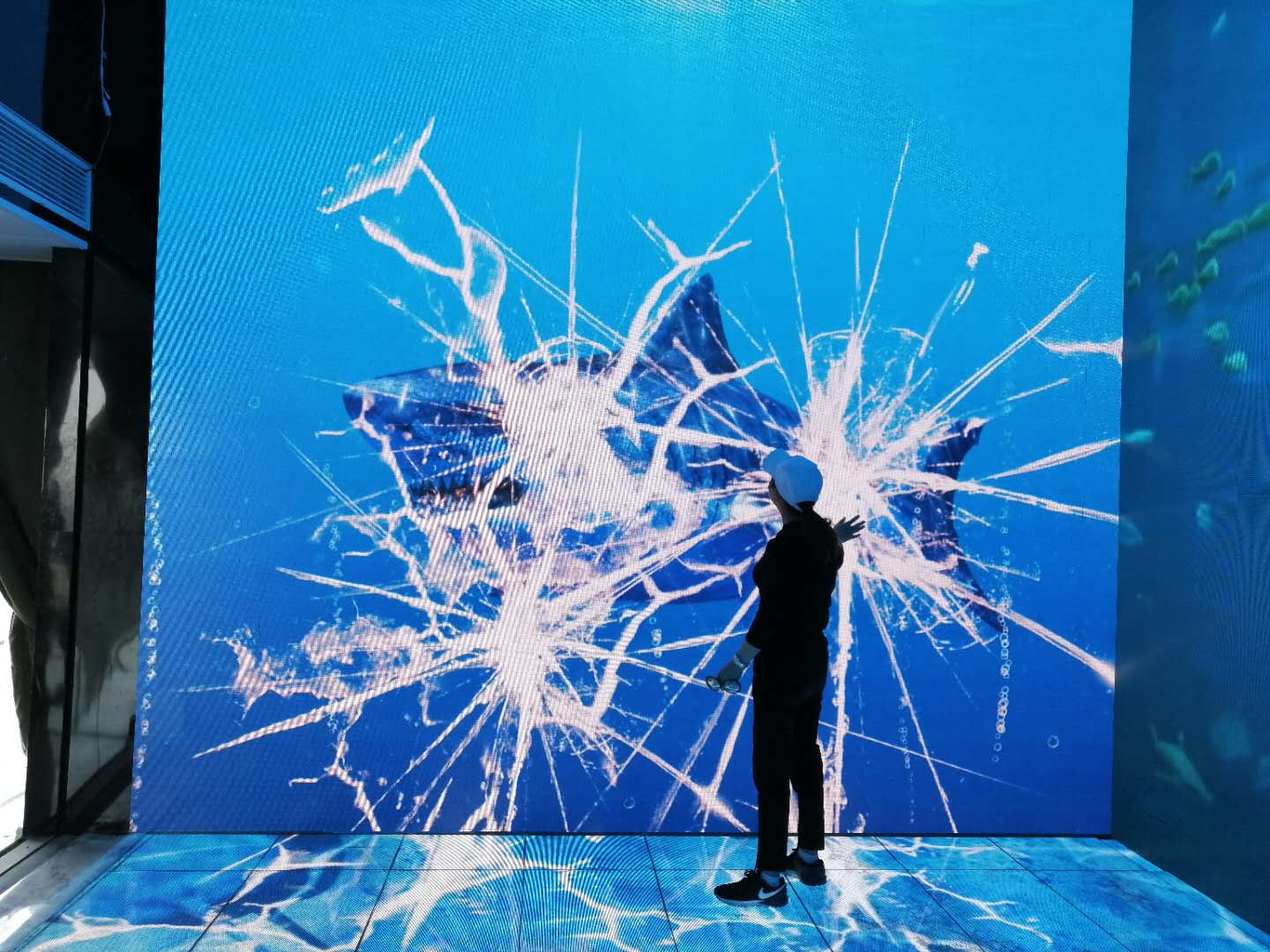 大鲨鱼遇上百鸟，撩爆你的心！我们要承包你的小长假！