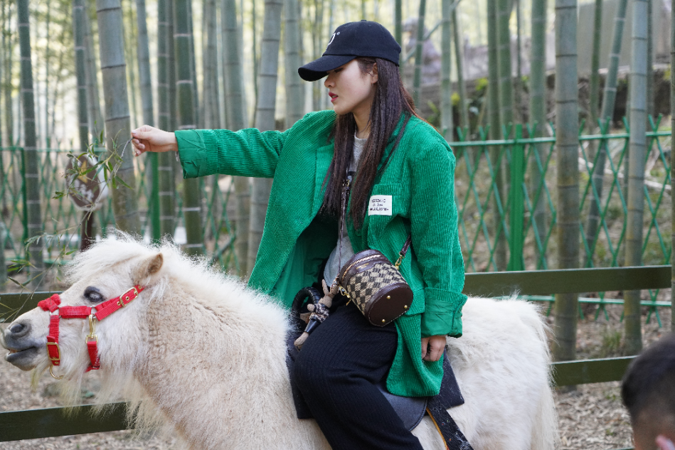 马仁奇峰怎么玩？《2022版游玩攻略》赶紧收藏！