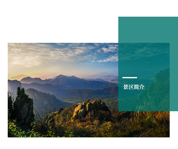 午夜熟女插插XX免费视频