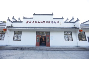 午夜熟女插插XX免费视频