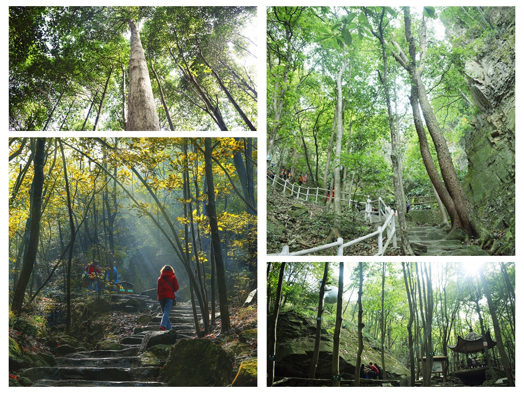 午夜熟女插插XX免费视频