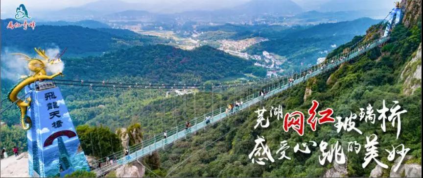 午夜熟女插插XX免费视频