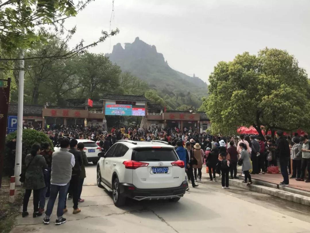 午夜熟女插插XX免费视频