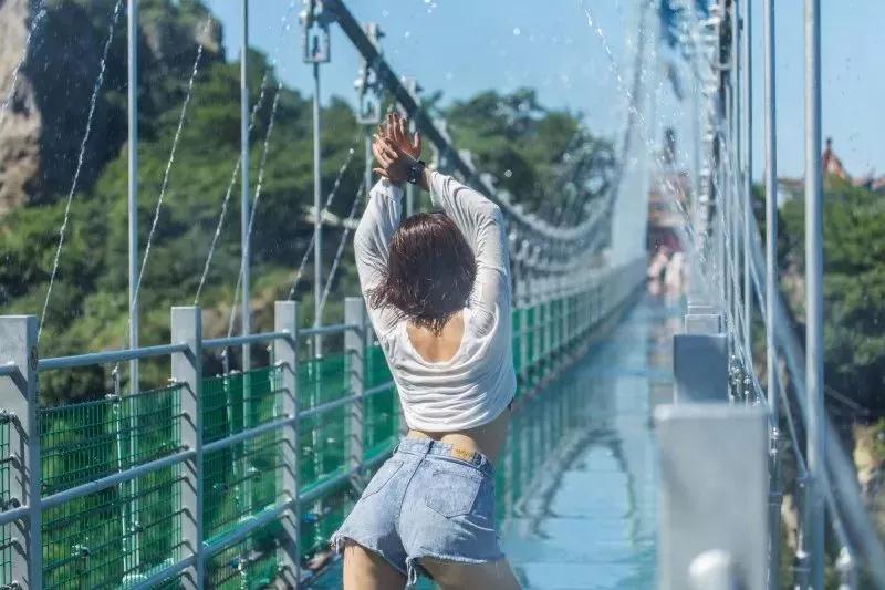 午夜熟女插插XX免费视频