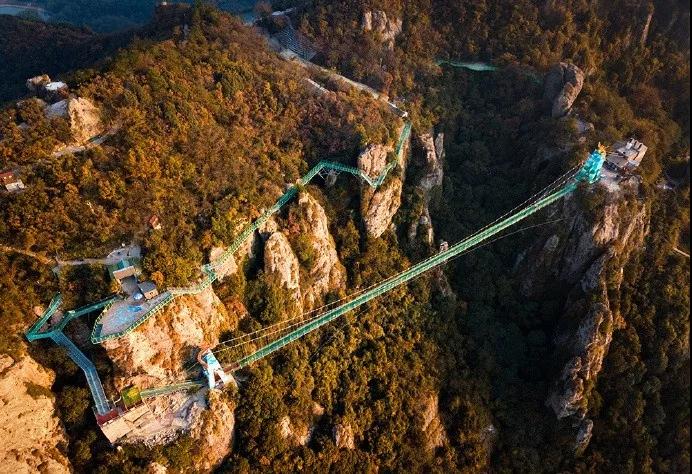 午夜熟女插插XX免费视频