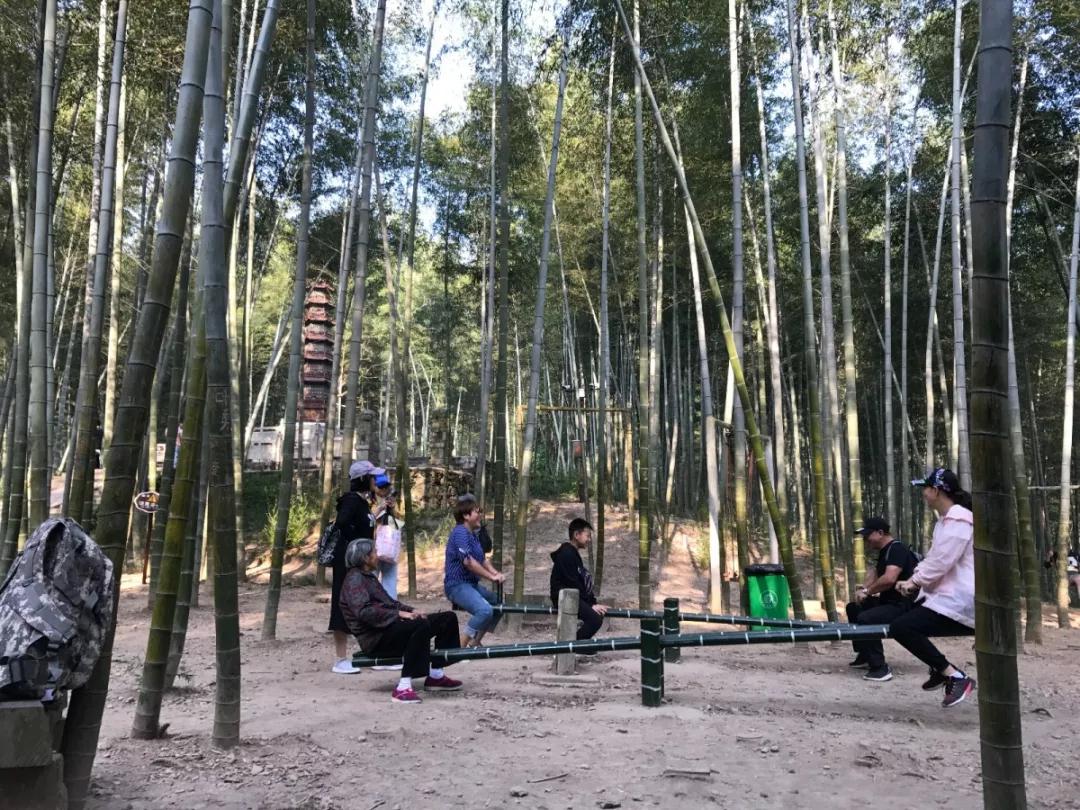 午夜熟女插插XX免费视频