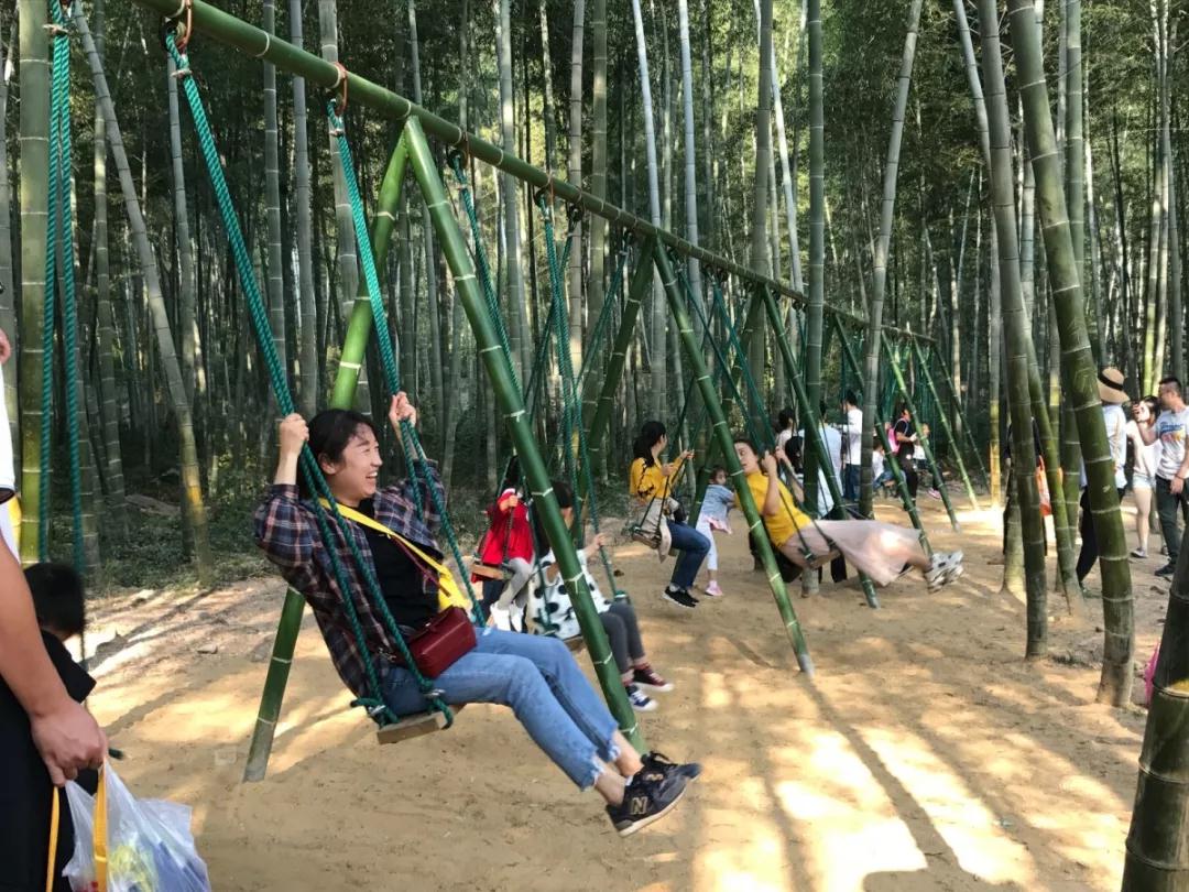 午夜熟女插插XX免费视频