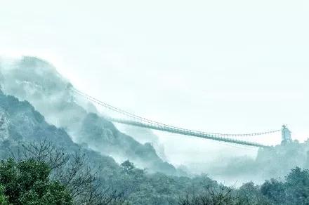 午夜熟女插插XX免费视频