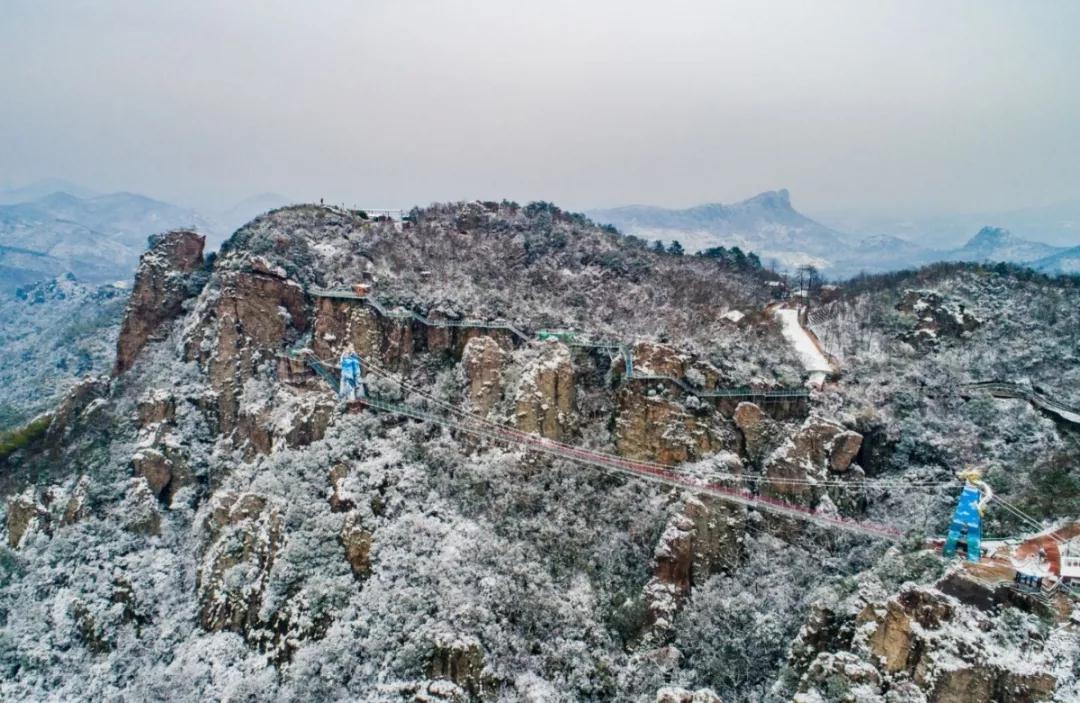 午夜熟女插插XX免费视频