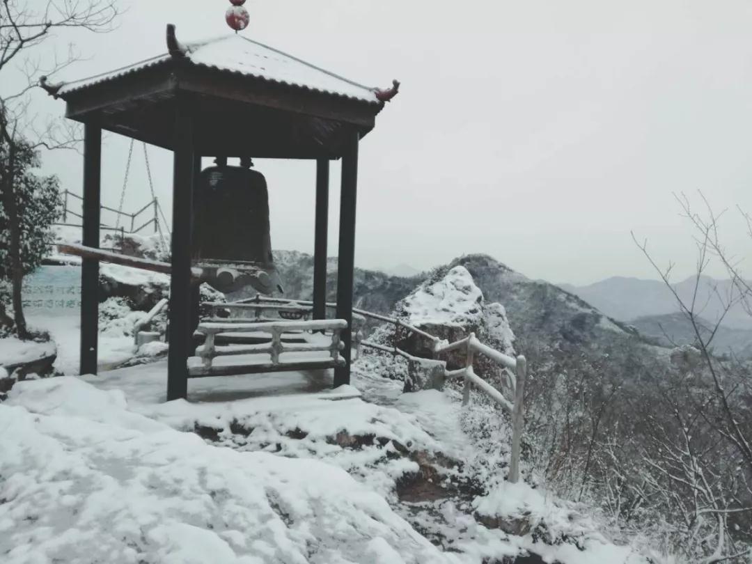 午夜熟女插插XX免费视频