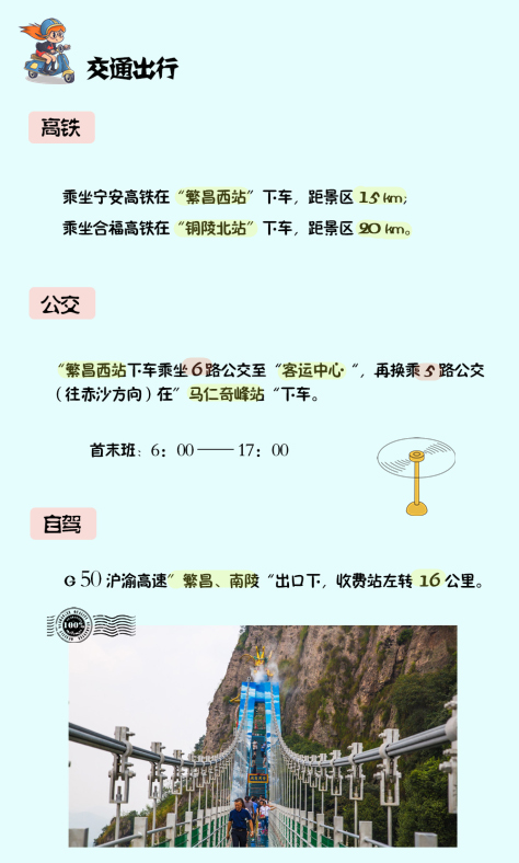 午夜熟女插插XX免费视频