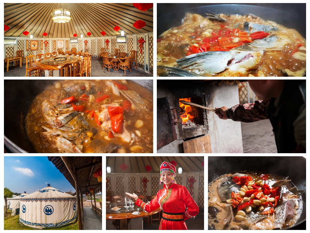 午夜熟女插插XX免费视频