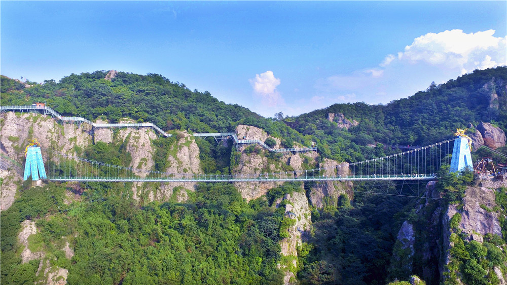 午夜熟女插插XX免费视频