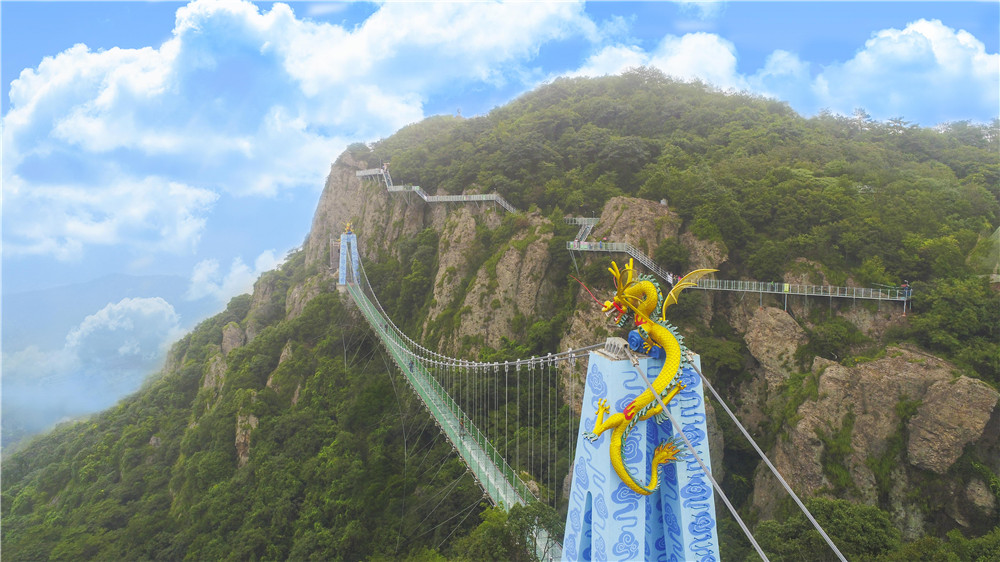 午夜熟女插插XX免费视频