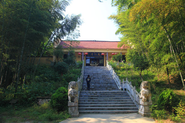 午夜熟女插插XX免费视频