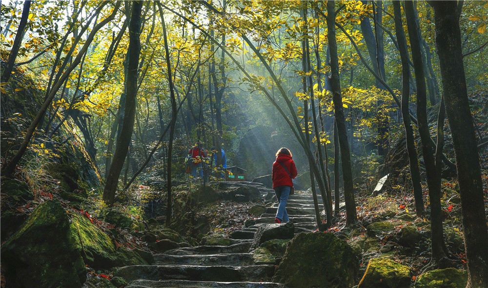 午夜熟女插插XX免费视频