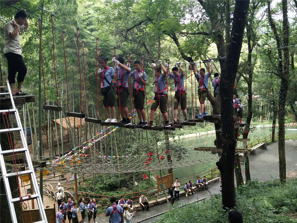 午夜熟女插插XX免费视频