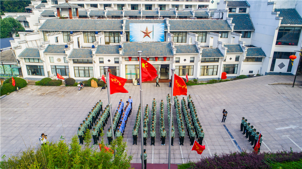 午夜熟女插插XX免费视频