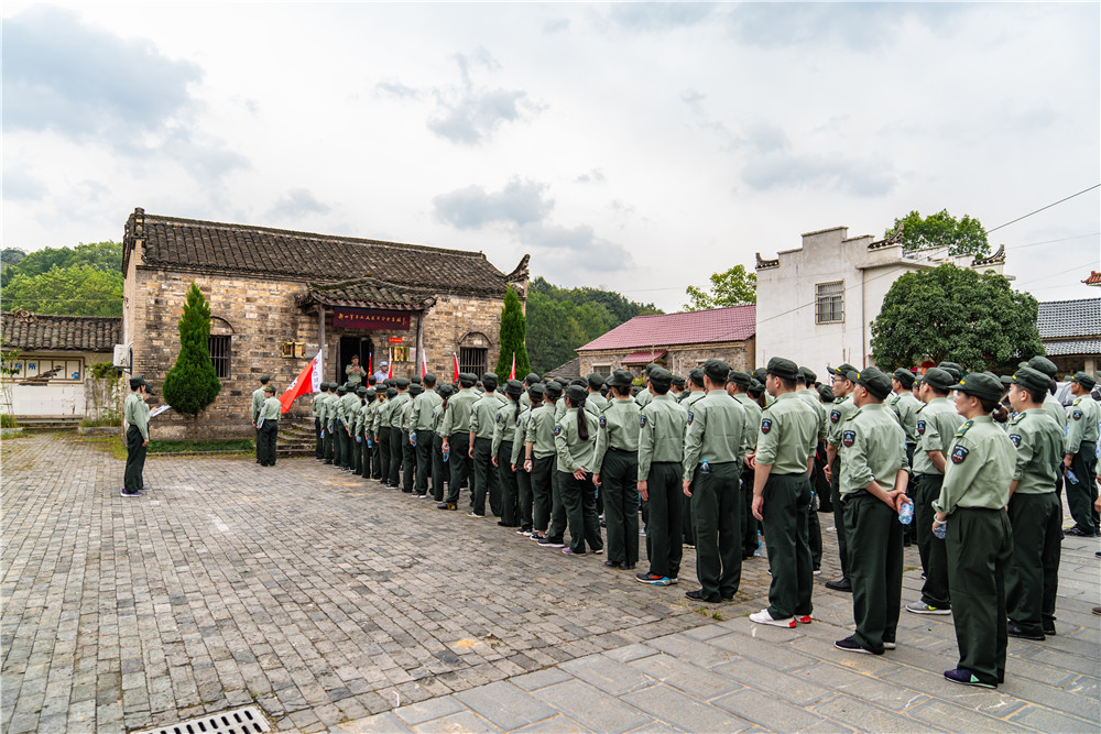 午夜熟女插插XX免费视频