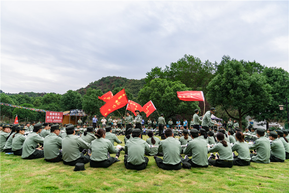 午夜熟女插插XX免费视频