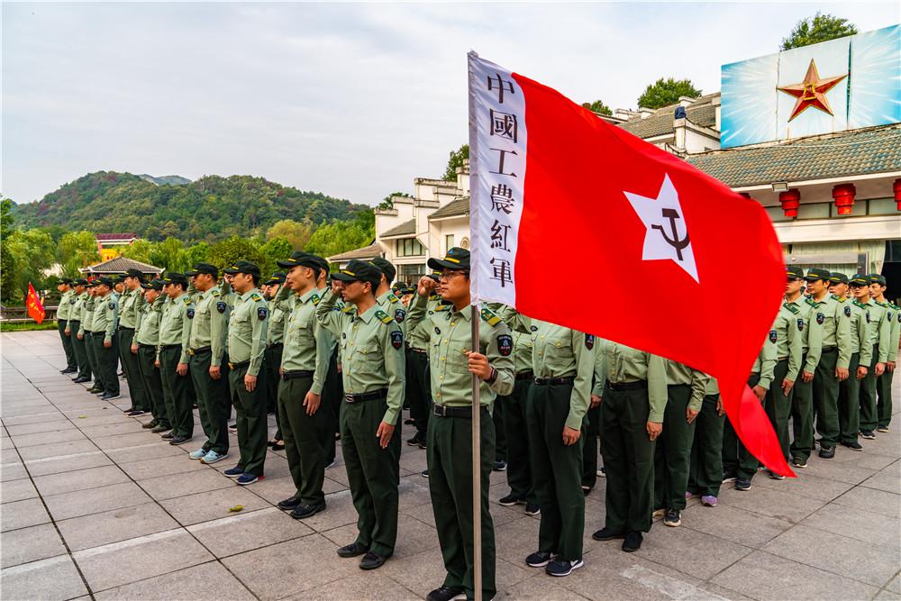 午夜熟女插插XX免费视频