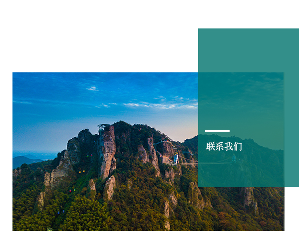 午夜熟女插插XX免费视频