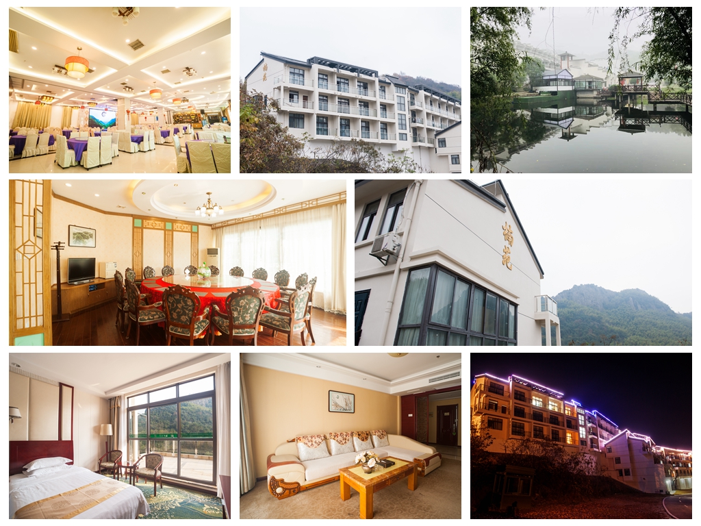 午夜熟女插插XX免费视频