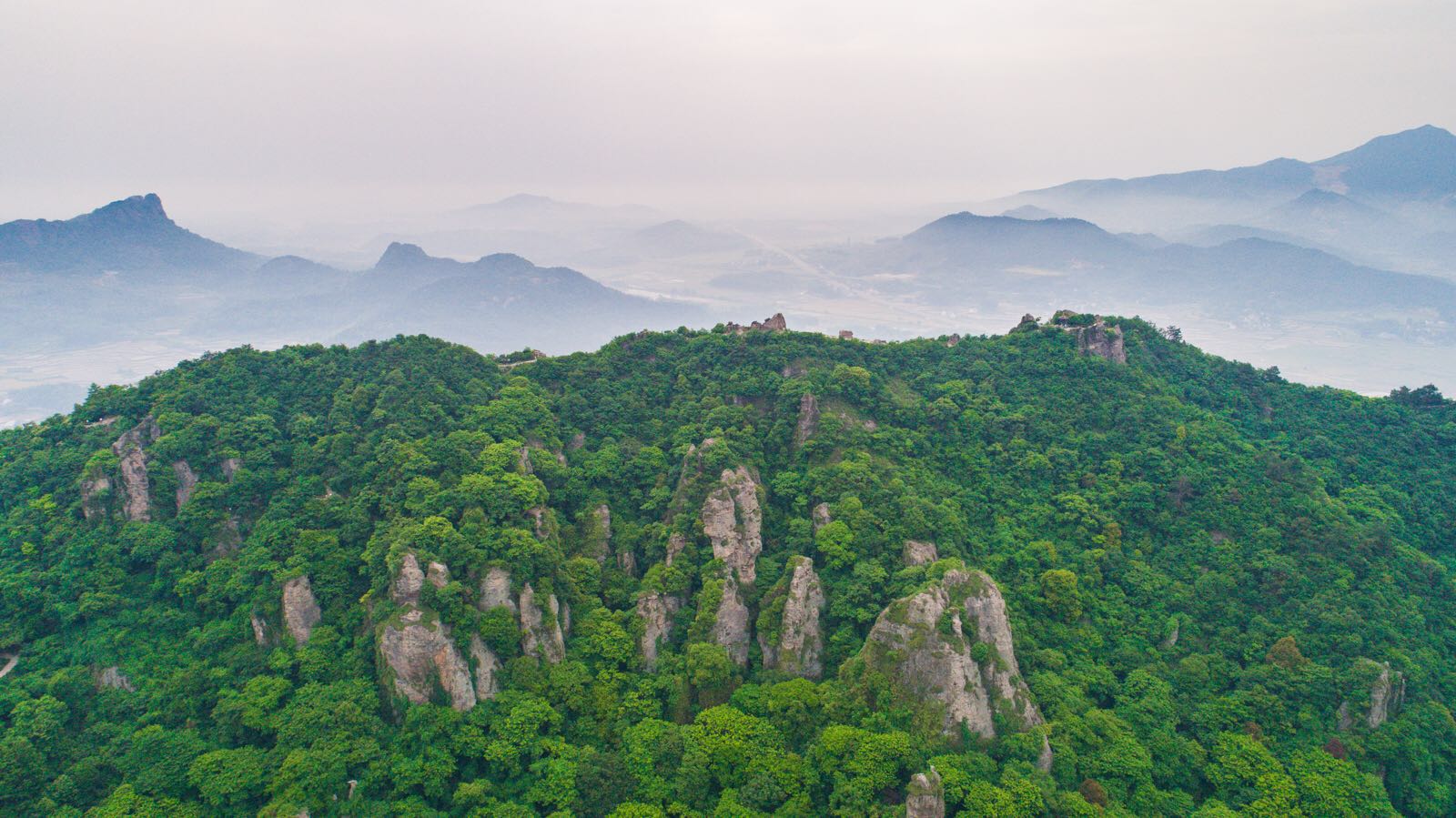 午夜熟女插插XX免费视频