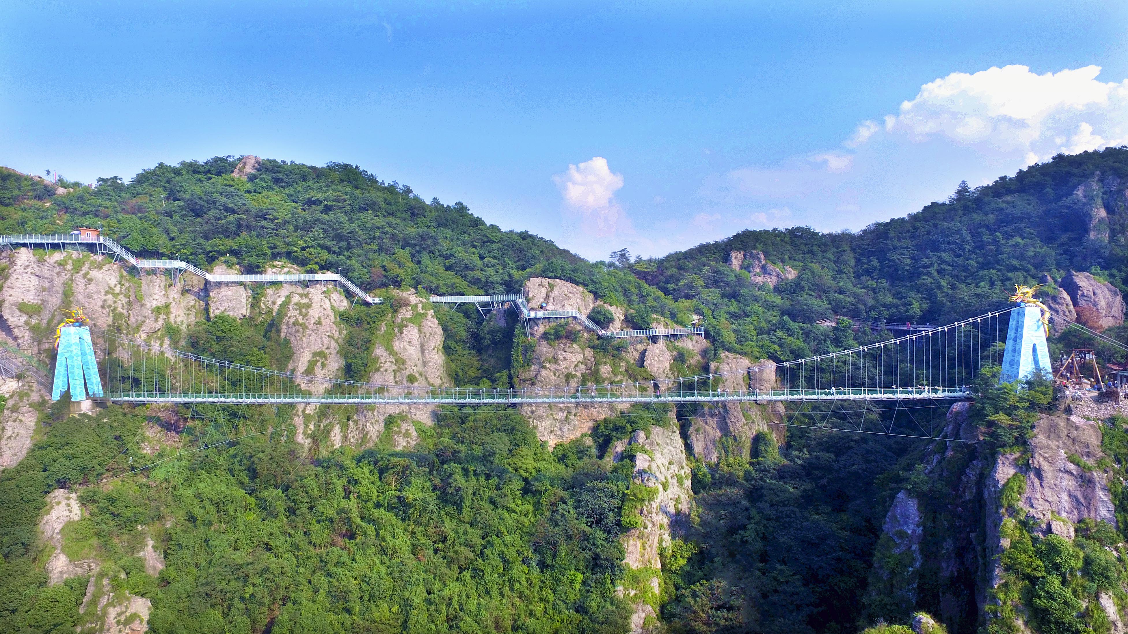 午夜熟女插插XX免费视频