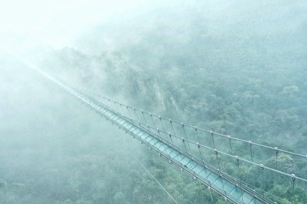 午夜熟女插插XX免费视频