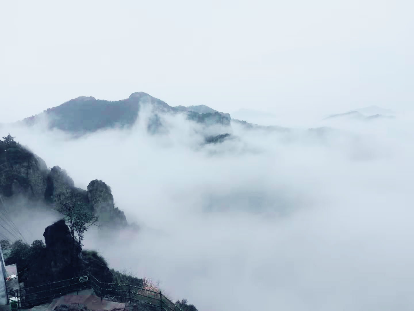 午夜熟女插插XX免费视频