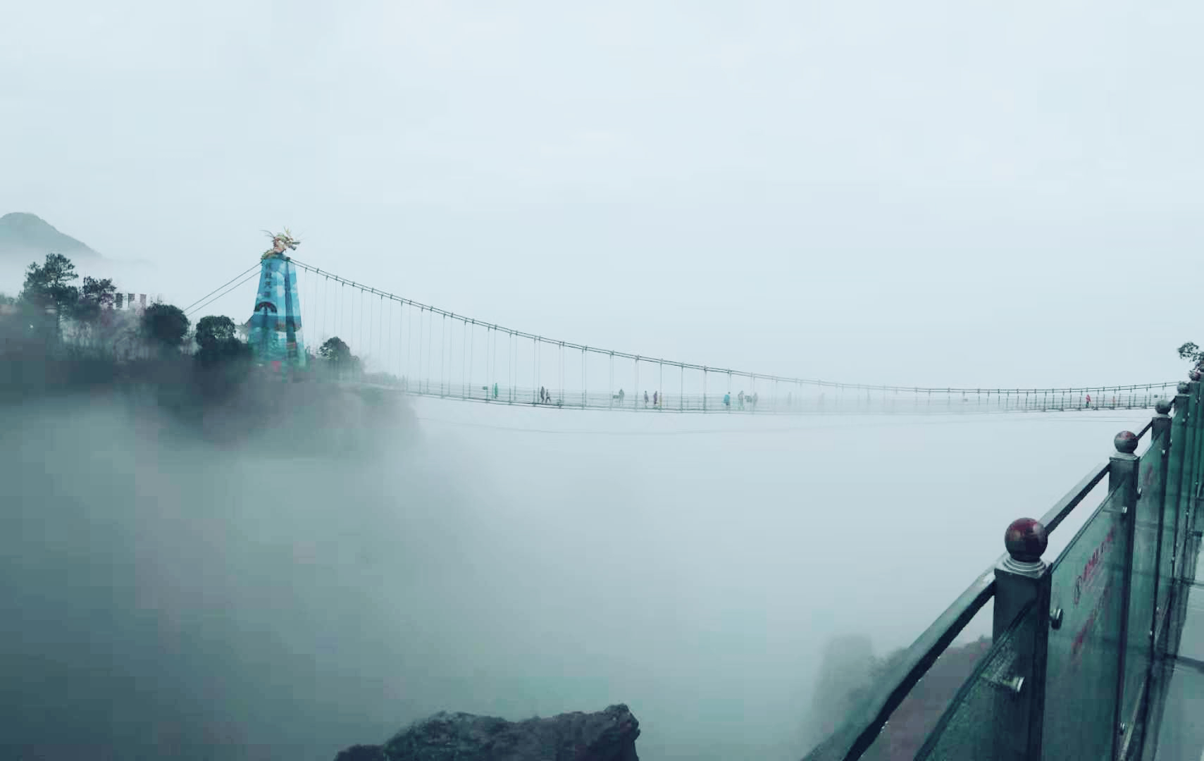 午夜熟女插插XX免费视频