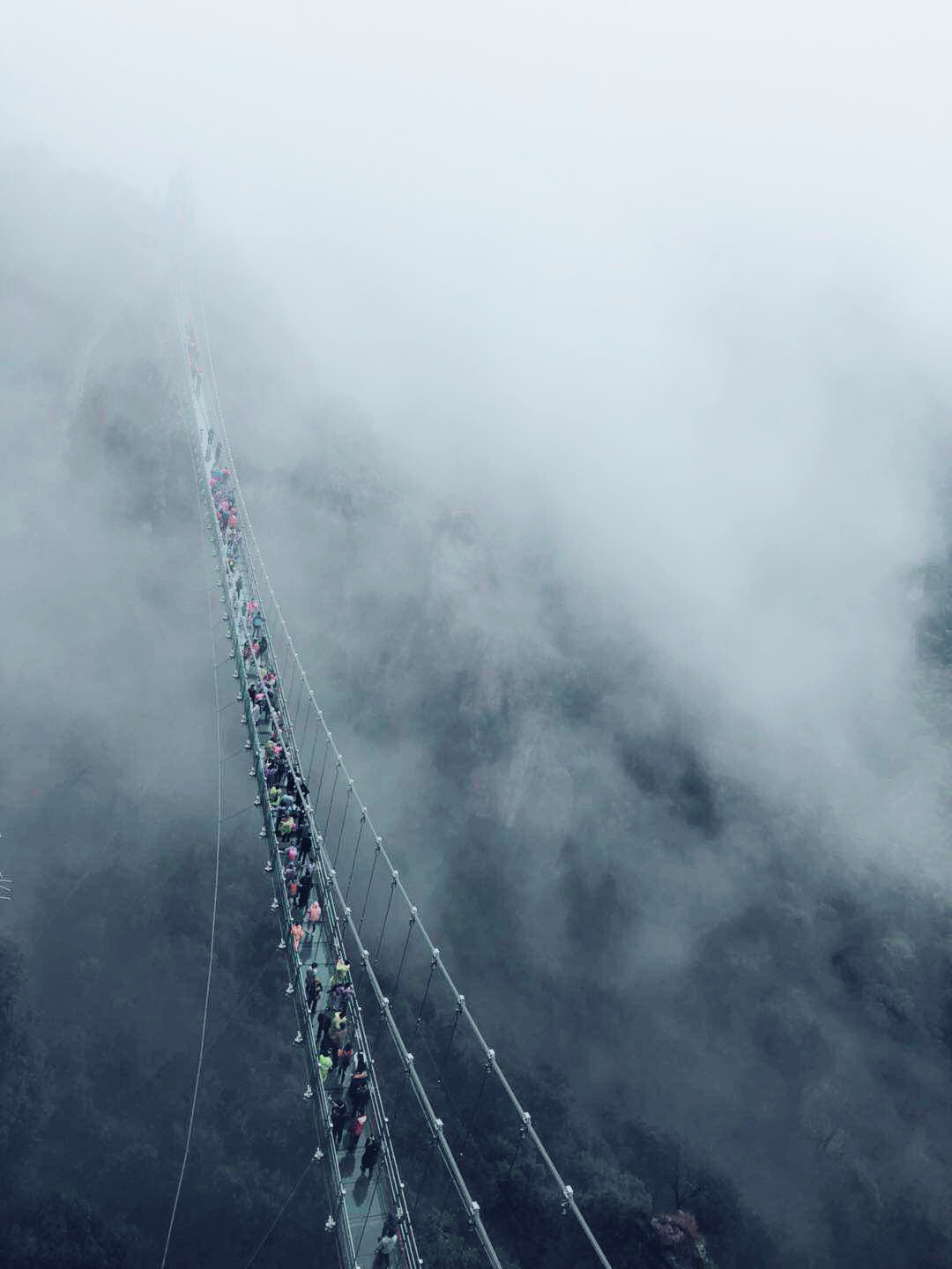 午夜熟女插插XX免费视频