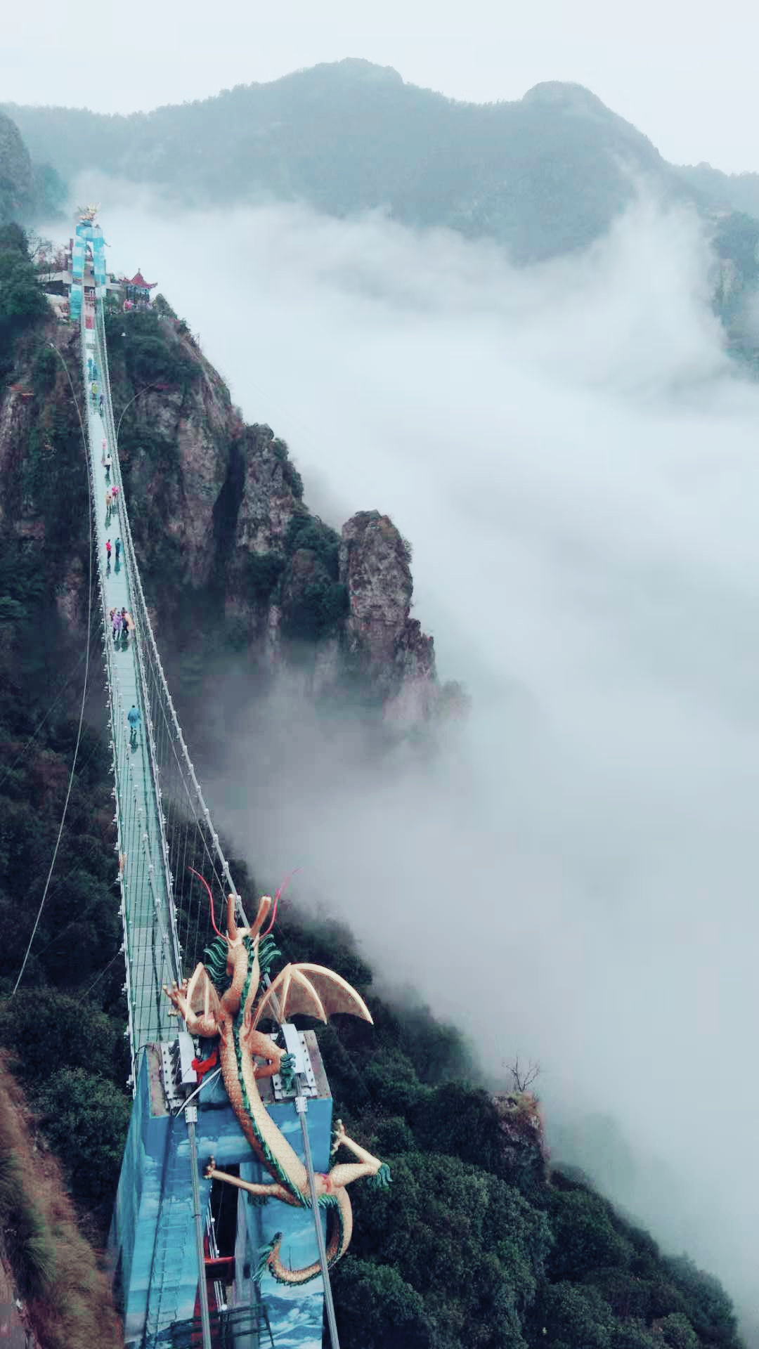 午夜熟女插插XX免费视频