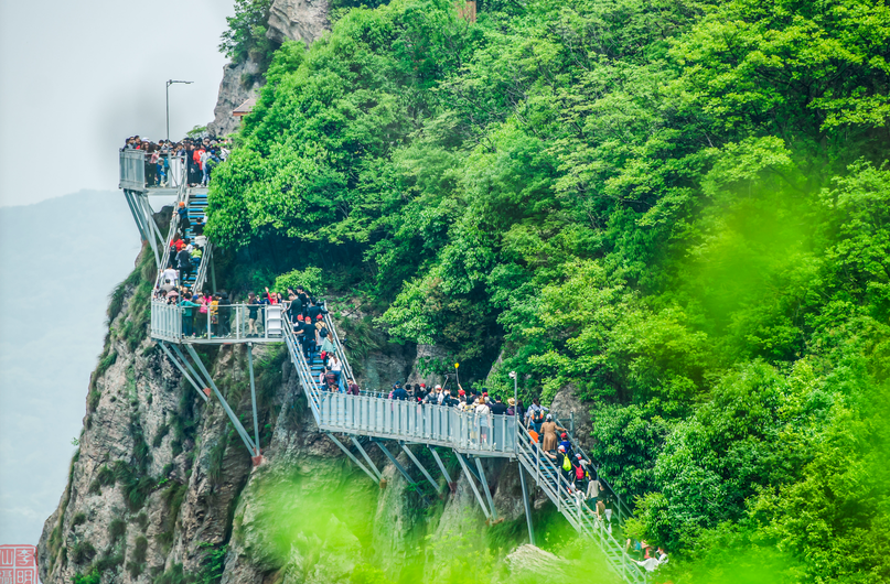 午夜熟女插插XX免费视频