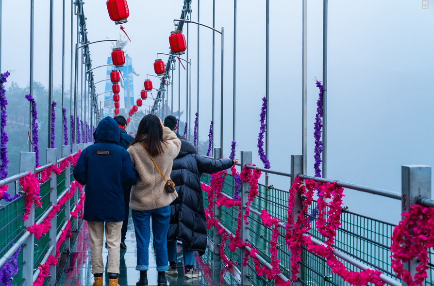 午夜熟女插插XX免费视频