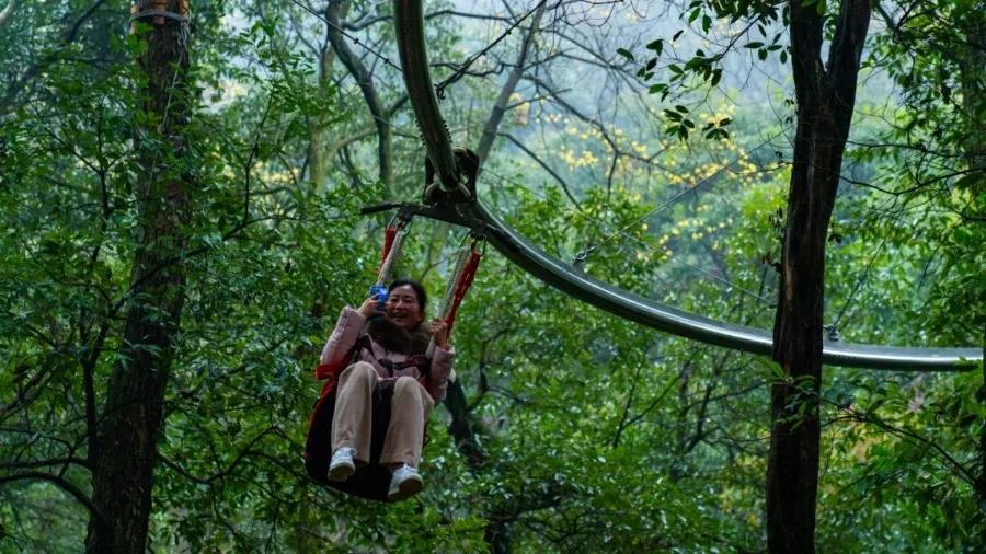 午夜熟女插插XX免费视频