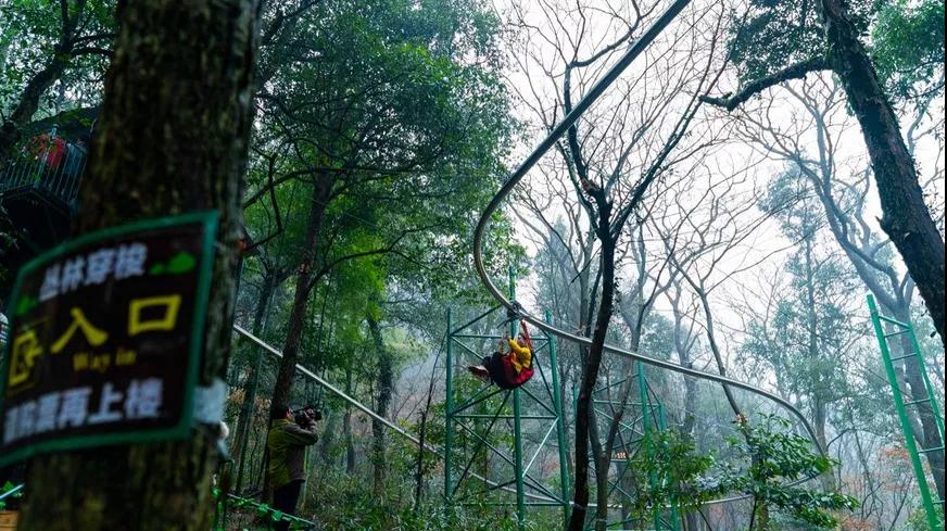 午夜熟女插插XX免费视频